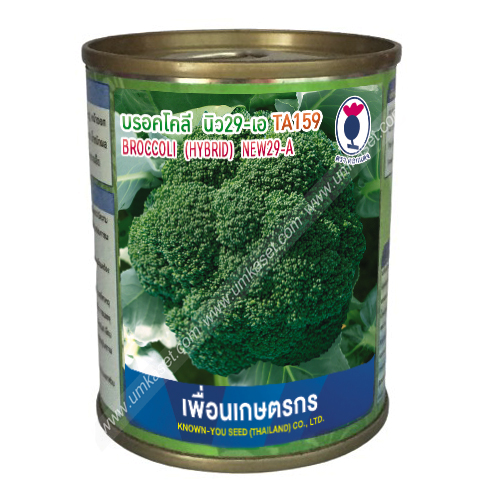 บรอคโคลี่ นิว29-เอ TA159