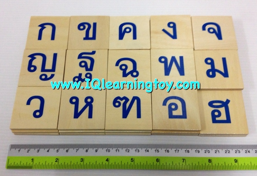 ของเล่นไม้ชุดพยัญชนะผสมคำ ก-ฮ สระ วรรณยุกต์ พร้อมจับคู่รูปภาพ 105 ชิ้น สอนเด็กๆให้เข้าใจและสามารถผสมคำได้ ส่งฟรี