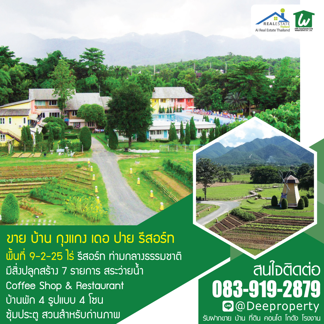 🏡🌈 ขายรีสอร์ท “กุงแกง เดอ ปาย” พร้อมบ้านพัก 20 หลังและสิ่งปลูกสร้างครบครัน ไม่ต้องเริ่มจากศูนย์! รับช่วงต่อได้ทันที พร้อมฐานลูกค้าและชื่อเสียงที่สะสมมากว่า 10 ปี