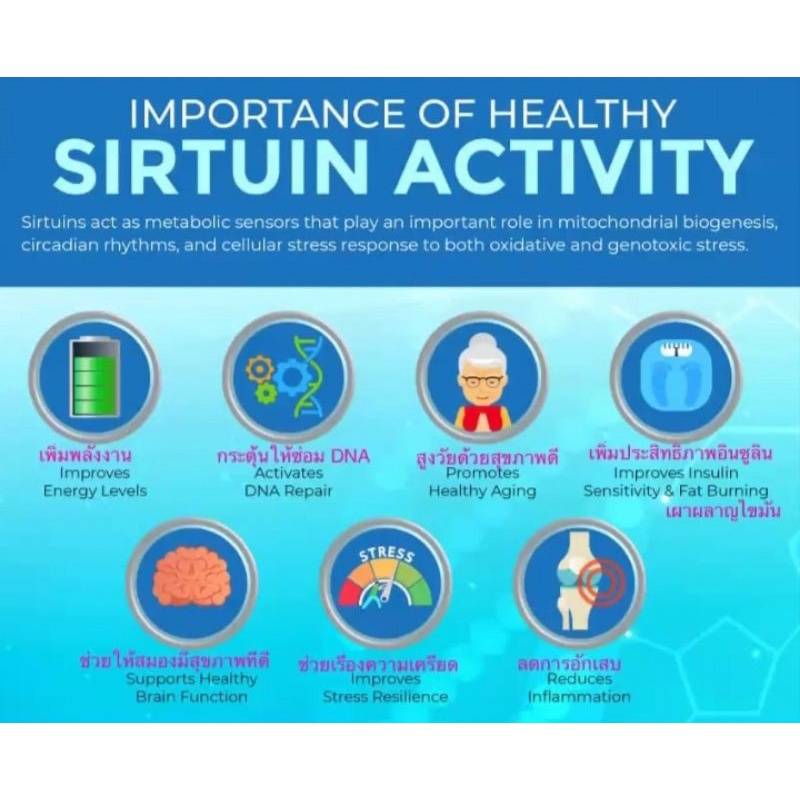 บูมดีแน็กซ์ Boom D-NAX