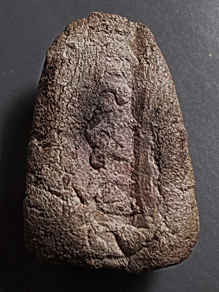 พระเนื้อว่านพิมพ์ถวายอาจารย์คง หลวงพ่อปลอด วัดหัวป่า สงขลา