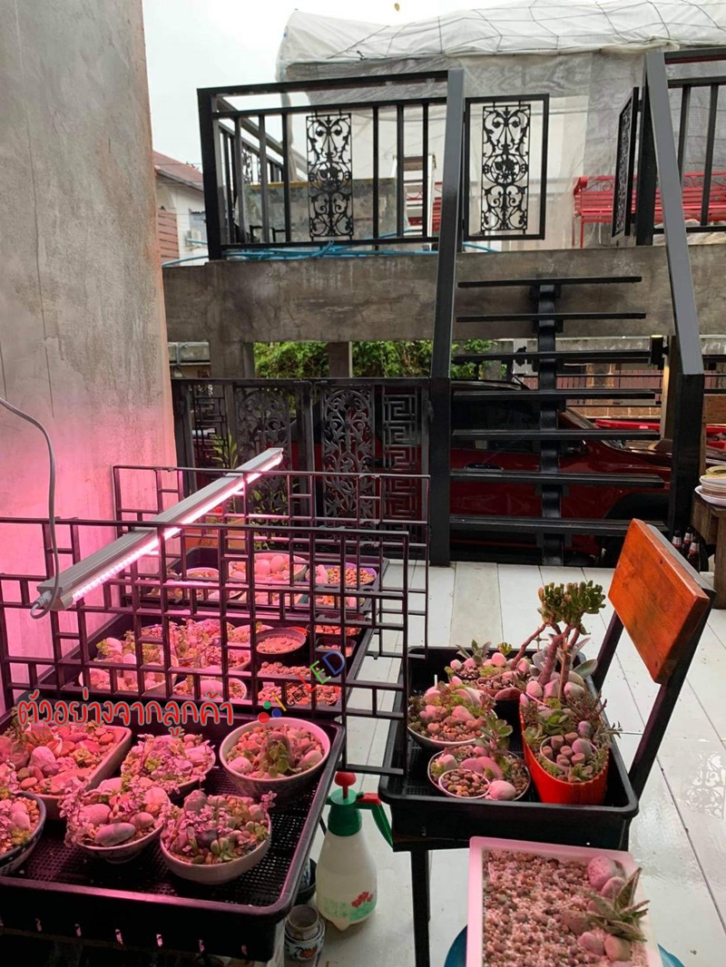 หลอดไฟปลูกต้นไม้ LED T8 35W ยาว 90CM 144 LED Grow Light AC 220V