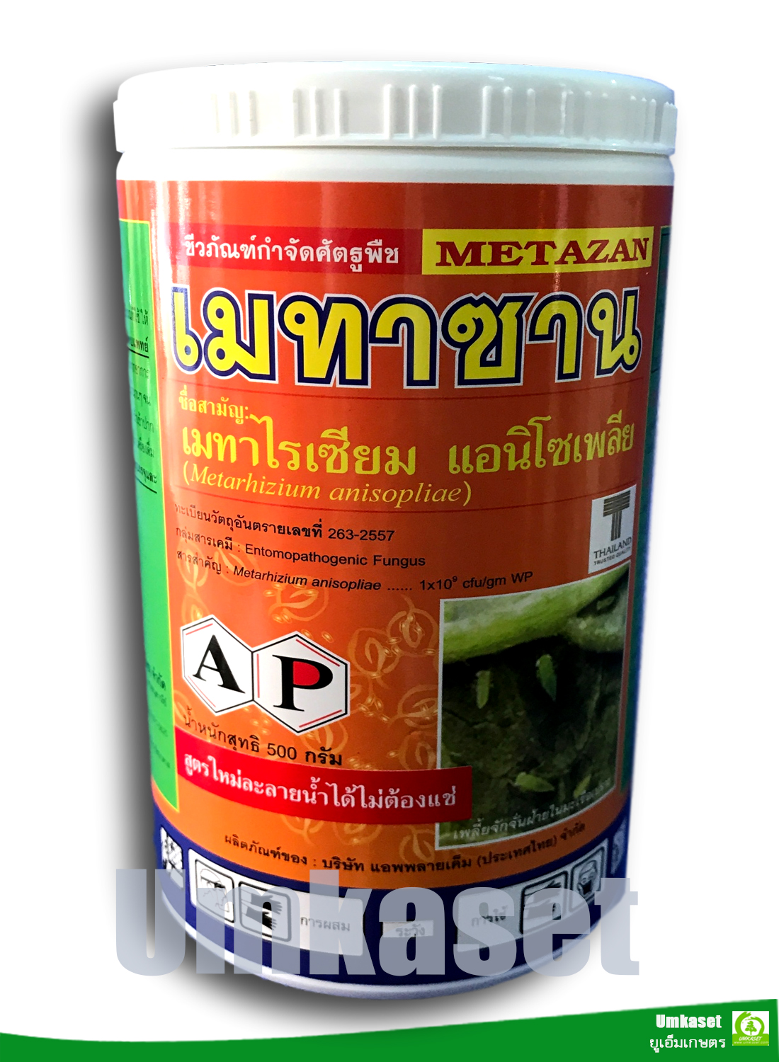เมทาซาน เชื้อรา เมตาไรเซียม อะนิโซเพล (Metarhizium anisopliae) ขนาด 500 กรัม/ แอปพลายเค็ม