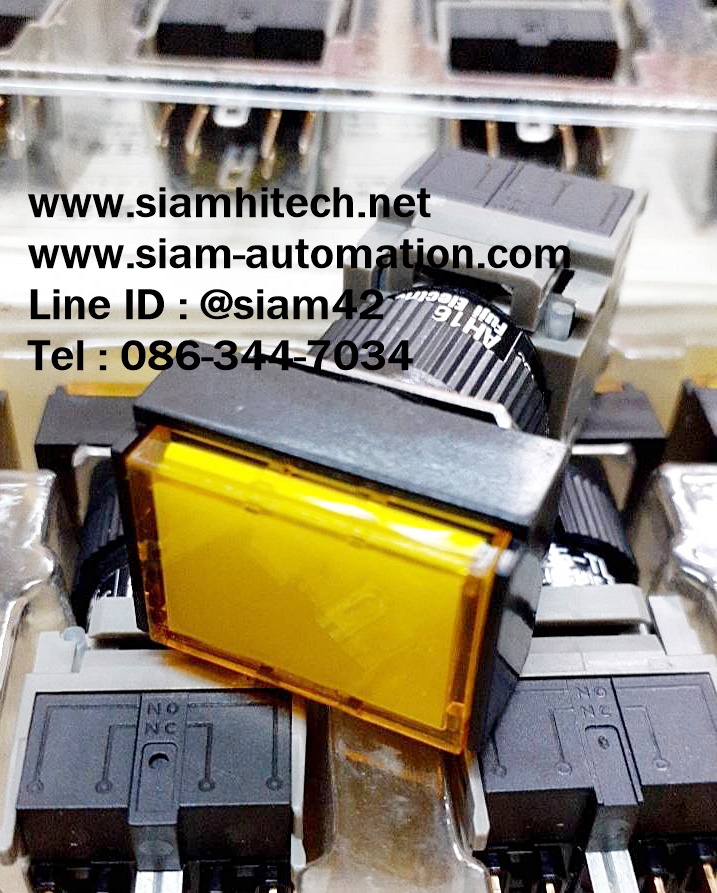 FUJI Switch AH165-2SLY11E3 (NEW)