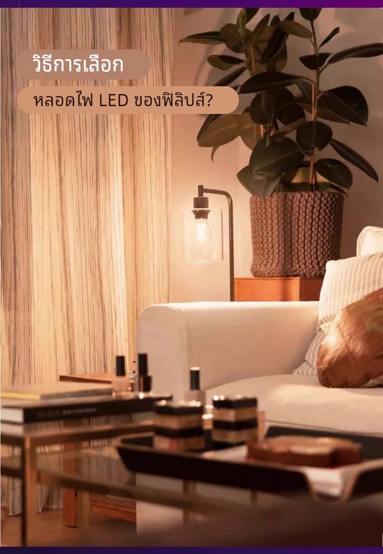 Philipsซีรีส์ประหยัด7วัตต์ จำนวนบรรจุ 12 ดวง / ลัง