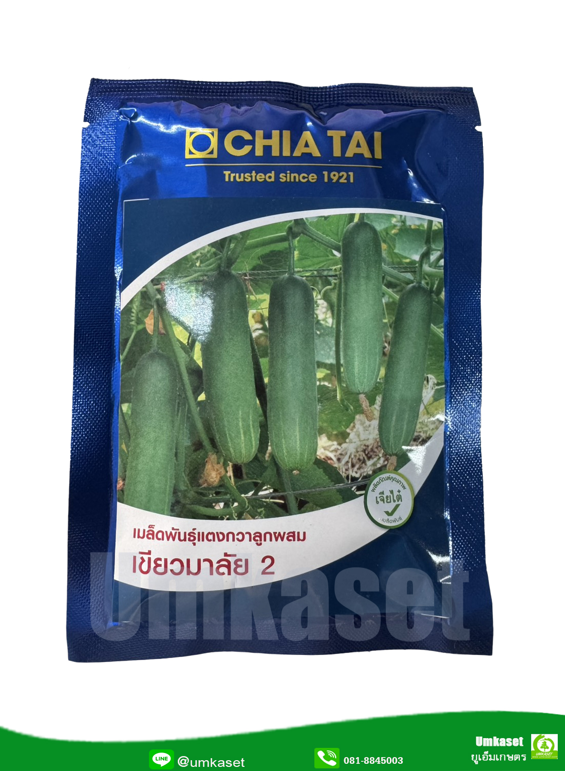 แตงกวา เขียวมาลัย2 เจียไต๋ เจียไต๋ 50 กรัม