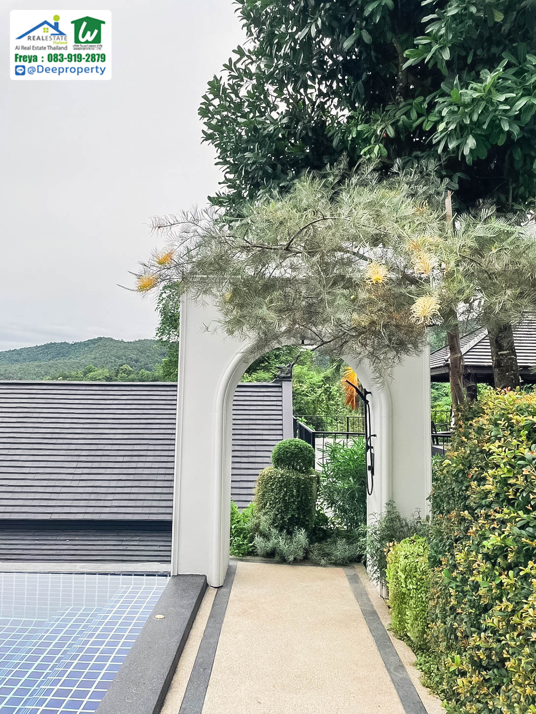 🏡 ขายรีสอร์ทหรูเพื่อสุขภาพ Perana Wellness Resort เชียงใหม่ ⛰️ พร้อมดำเนินกิจการต่อได้ทันที! คืนทุนเร็ว✨