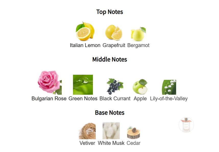 น้ำหอมแท้ Burberry Signatures Garden Roses 100ml กล่องซีลป้ายไทย