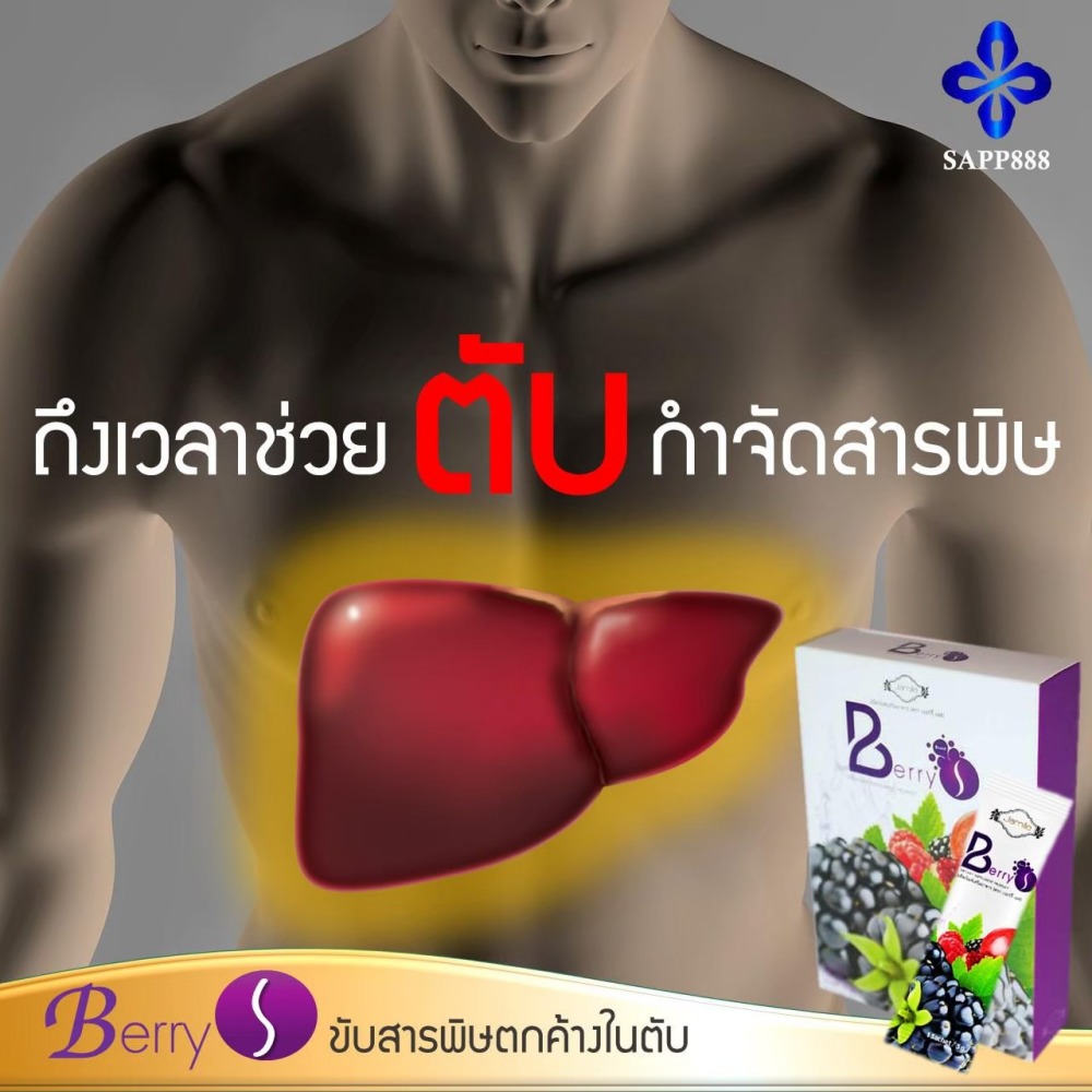 เบอร์รี่ เอส Berry S ล้างสารพิษ สารตกค้าง ในเลือด
