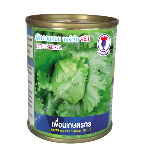 ผักกาดหอม จอร์เจีย 953