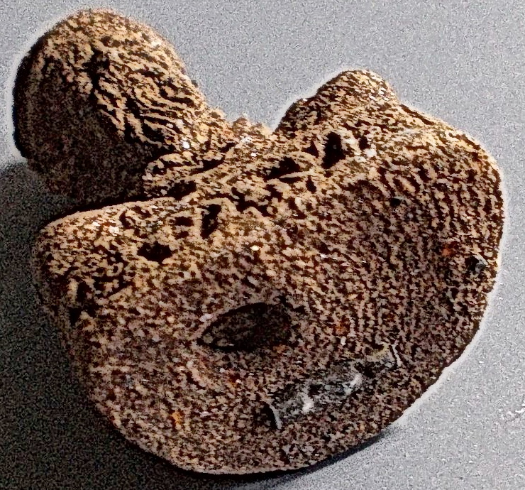 พระฤษีตาไฟลอยองค์ เนื้อว่าน ฝังตะกรุด มีโค๊ต ขนาดห้อยบูชา เนื้อว่าน 108 ผสมผงทองคำขาวลป.พรหมมา เขมจาโร สำนักวิปัสสนาหินผานางคอย จ.อุบลราชธานี รุ่นอายุ 96 ปี ปี 2537