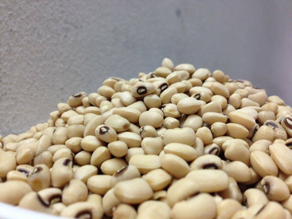 แป้งถั่วขาว White Bean Flour (Gluten Free)