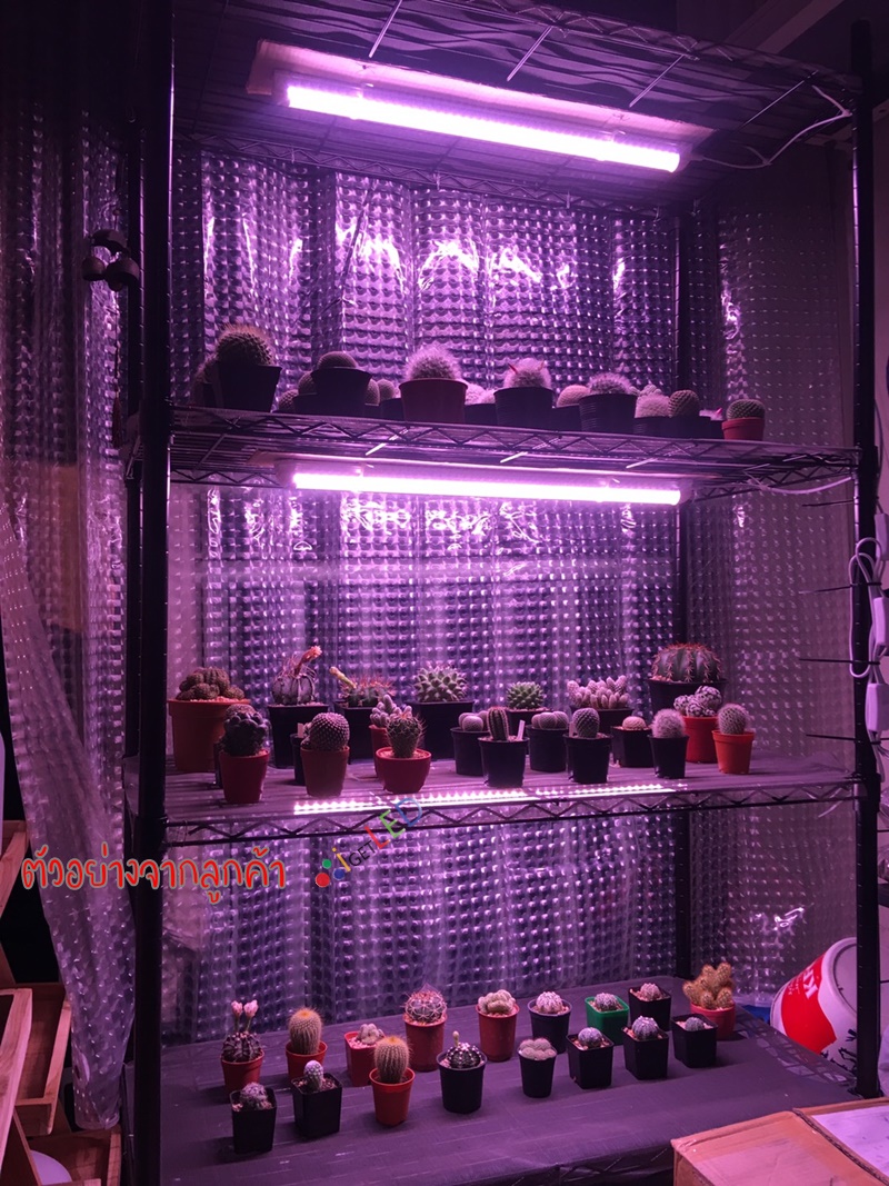 หลอดไฟปลูกต้นไม้ LED T8 35W ยาว 90CM 144 LED Grow Light AC 220V