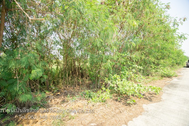 ขาย ที่ดิน ติดถนนซอย ถมแล้ว บางบัวทอง ซอยคุ้มบัวทอง ราคาถูกที่สุด