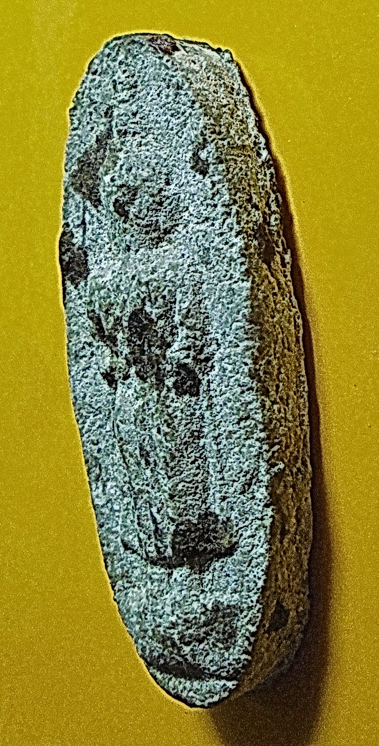 พระเนื้อผง พระแก่ วัดก้างปลา รุ่นแรก ปี 2524