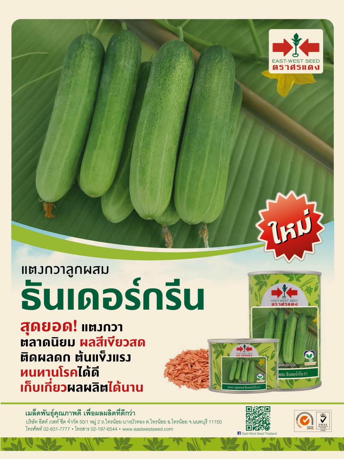 แตงกวา ธันเดอร์กรีน F1 ตราศรแดง 50 , 100 กรัม