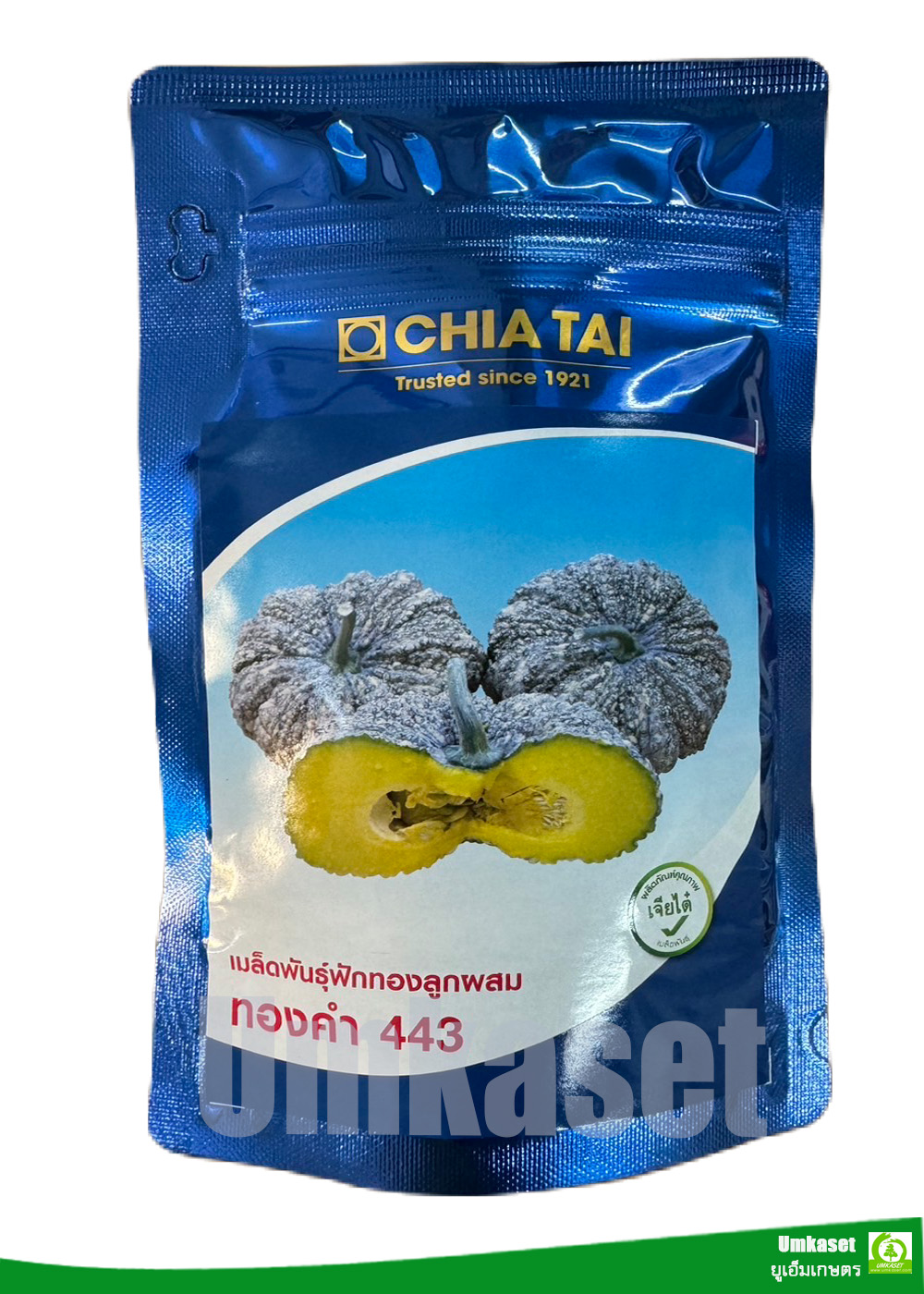 ฟักทอง ทองคำ443 เจียไต๋ 100 กรัม