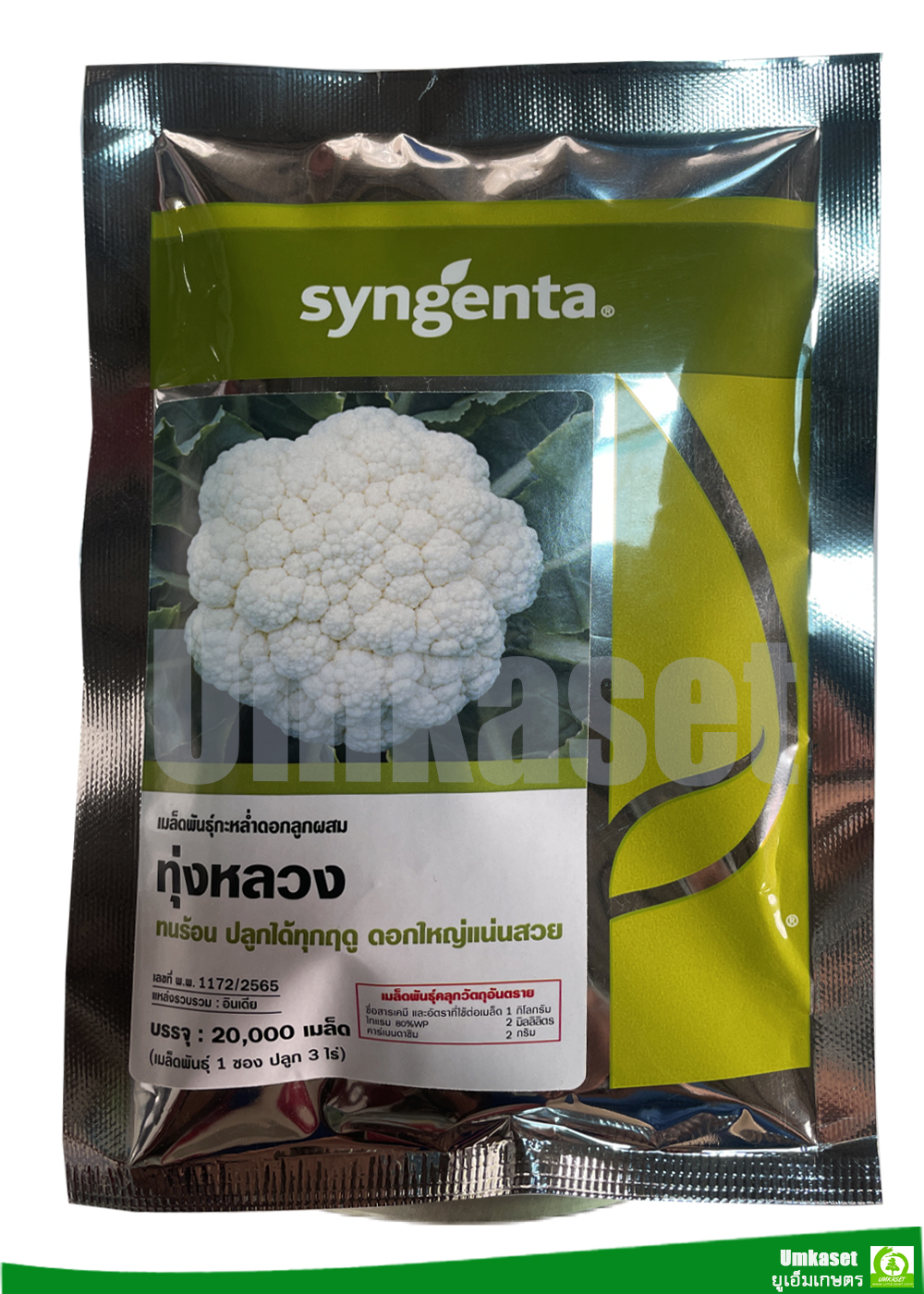 เมล็ดพันธุ์ กะหล่ำดอก ทุ่งหลวง 20,000 เมล็ด Syngenta