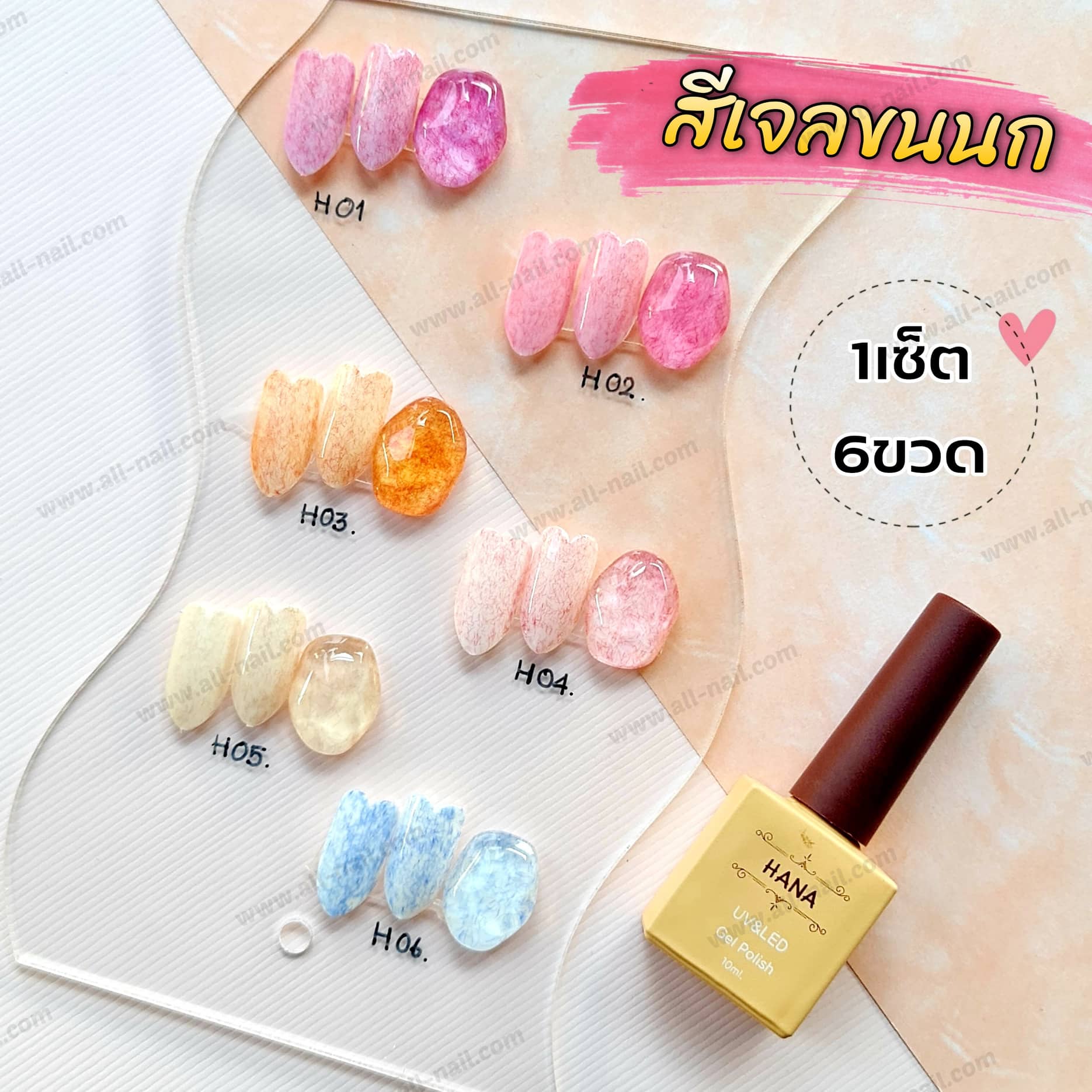 ชุดสีเจลขนนก สีเจลขนเฟอร์บี้ 1เซต/6ขวด