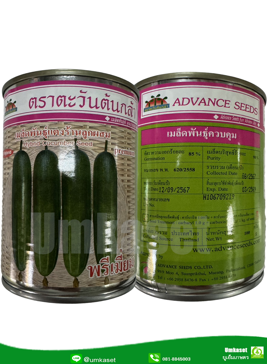 แตงร้านลูกผสม พรีเมี่ยม ตะวันต้นกล้า 50 กรัม ,100 กรัม