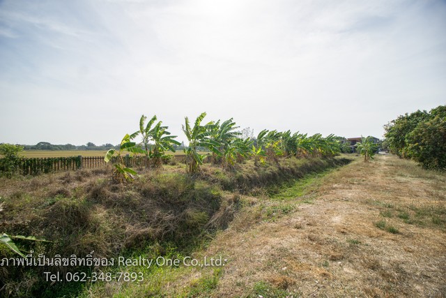 ขาย บ้าน ห้องเช่า ตรงข้าม รพ.สามชุก อ.สามชุก สุพรรณบุรี