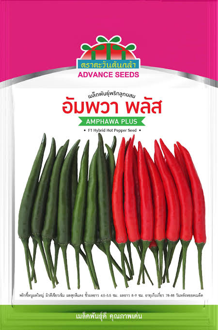 พริกอัมพวา พลัส /ตราตะวันต้นกล้า (50 กรัม)