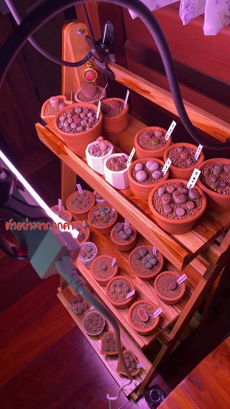 หลอดไฟปลูกต้นไม้ LED T8 35W ยาว 90CM 144 LED Grow Light AC 220V