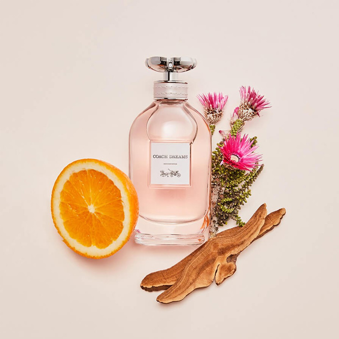 น้ำหอมจิ๋วมินิ Coach Dreams Eau de Parfum 4.5ml แบบแต้มมีกล่อง ( Mini Perfume น้ำหอมขนาดพกพา) น้ำหอมจิ๋วมินิ ขวดน่ารัก ตั้งโชว์ก็สวย พกพาก็สะดวก หัวแต้มตามจุดชีพจร