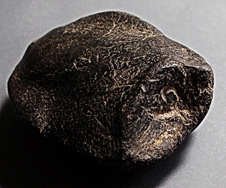 พระรอดมือโต เนื้อดินผสมผงใบลาน ก้นจารย์ ลพ.กวย วัดโฆสิตาราม ชัยนาท