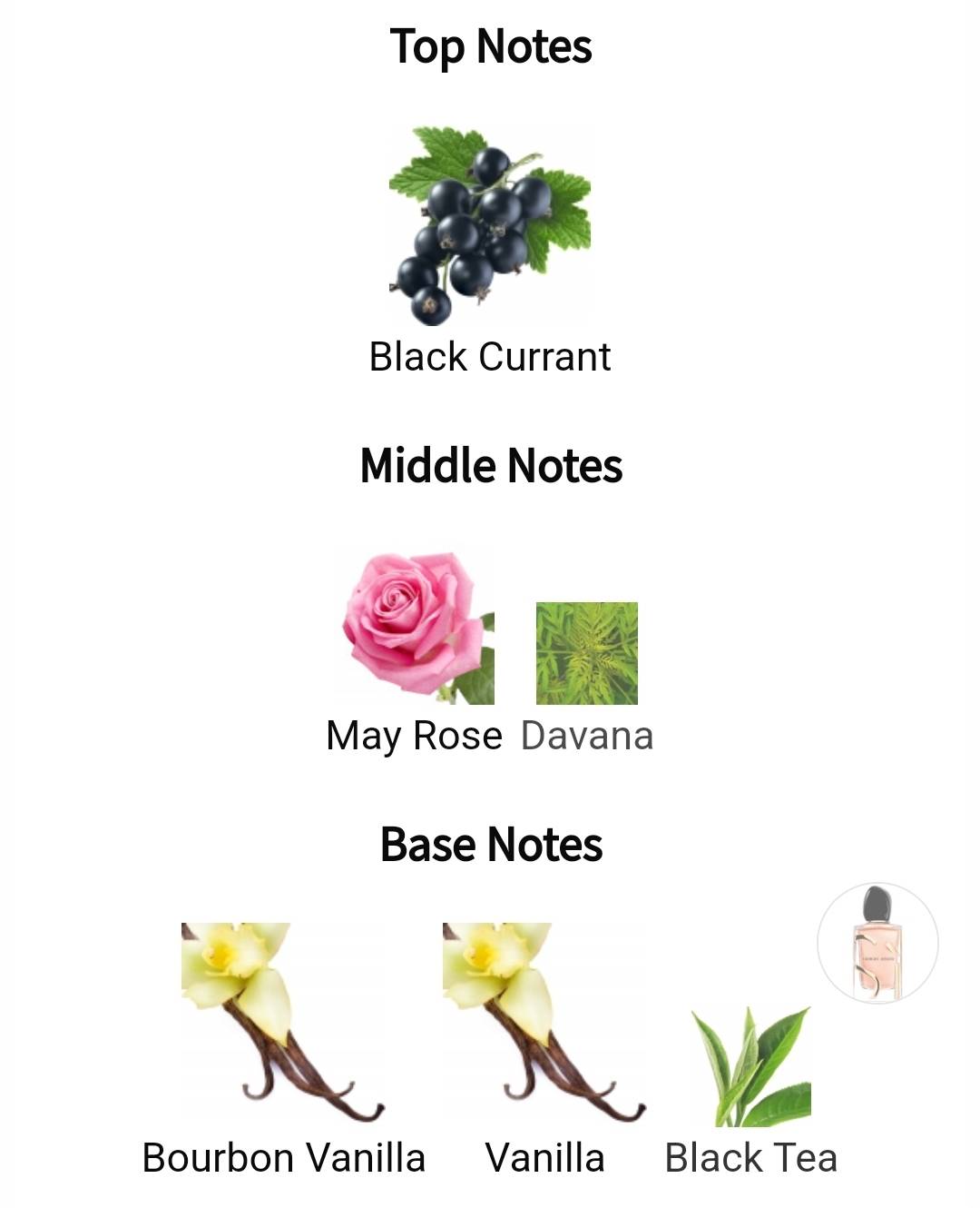 น้ำหอมจิ๋วมินิ Giorgio Armani Si Intense EDP (ปี 2023) 7ml แบบแต้มมีกล่อง ( Mini Perfume น้ำหอมขนาดพกพา) น้ำหอมจิ๋วมินิ ขวดน่ารัก ตั้งโชว์ก็สวย พกพาก็สะดวก หัวแต้มตามจุดชีพจร