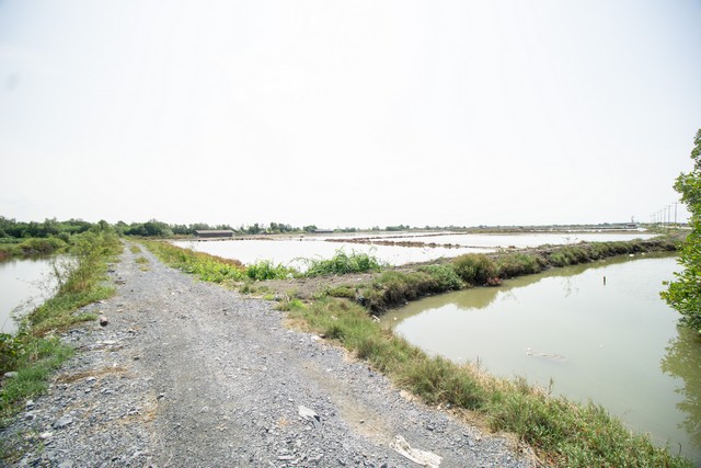 ขาย ที่ดิน นาเกลือ ติดถนนสาย 2020 ต.บ้านบ่อ อ.เมือง สมุทรสาคร