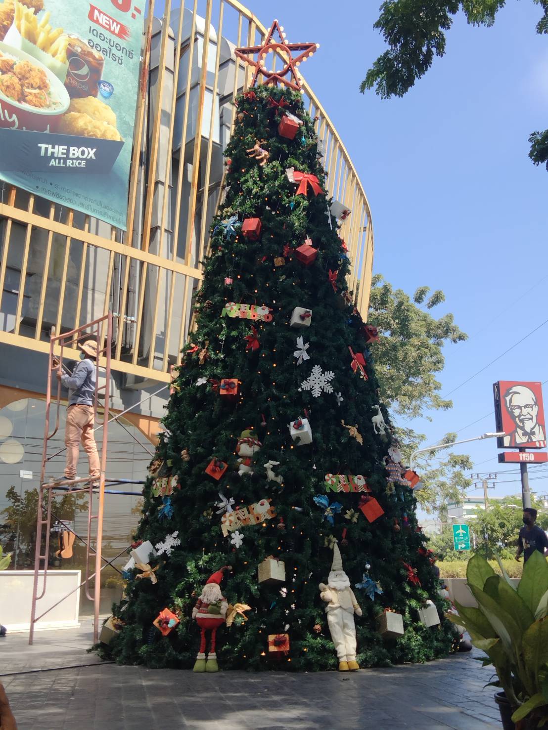 หาซื้อต้นคริสต์มาสปลอมได้ง่ายๆในจังหวัด ยโสธร ต้นคริสต์มาสตกแต่งไฟราคาสุดพิเศษ ที่นี่