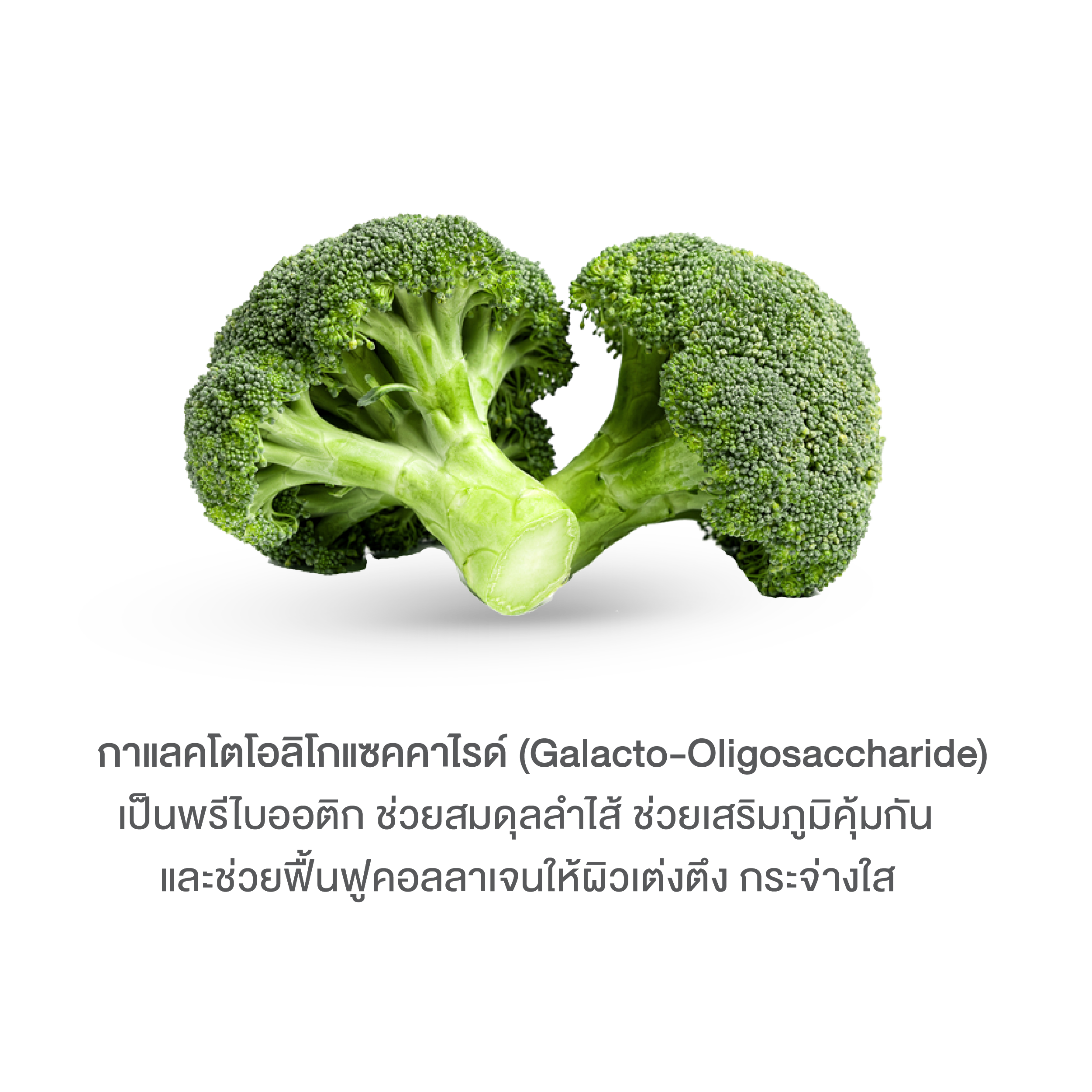 บลูม คอลลาเจน พลัส BOOM COLLAGEN PLUS