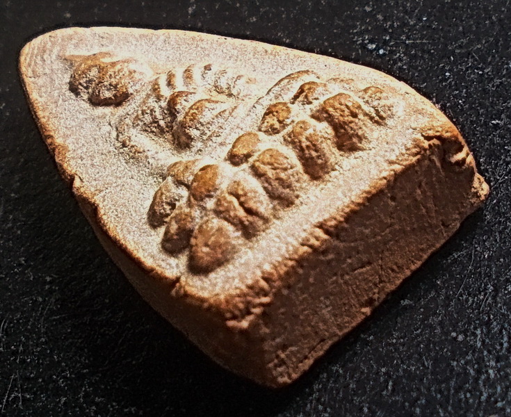 พระพุทโธ หลังมรรคแปด หลวงพ่อสังวาลย์ วัดทุ่งสามัคคีธรรม จ.สุพรรณบุรี