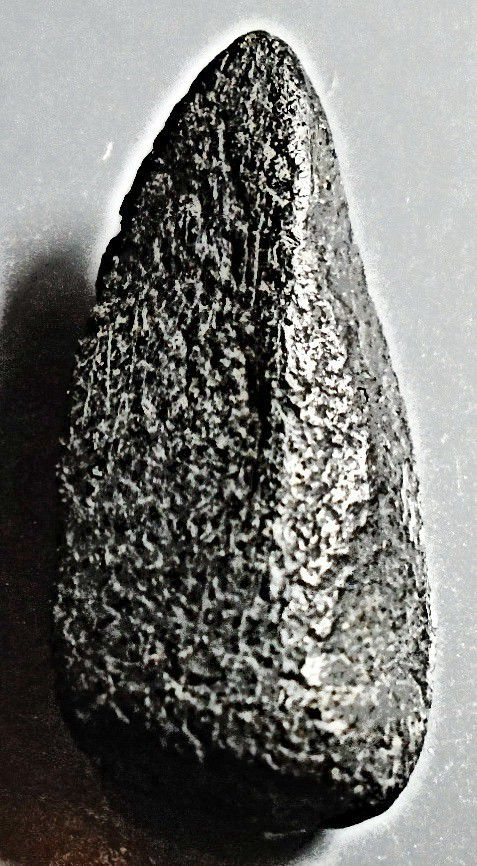 พระเม็ดน้อยหน่า กรุท่าฉนวน พิจิตร