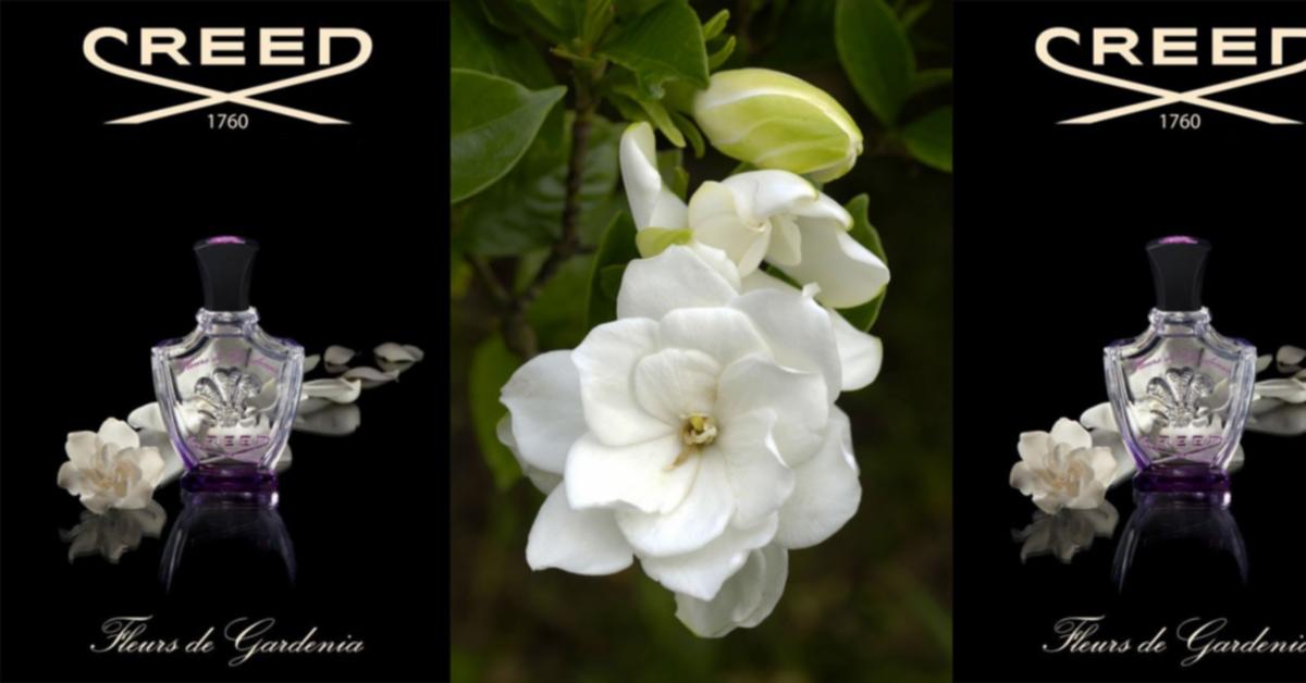 น้ำหอมแท้แบ่งขาย Creed Fleurs De Gardenia EDP 💦แบ่ง 💕Travel Size แบบทดลอง