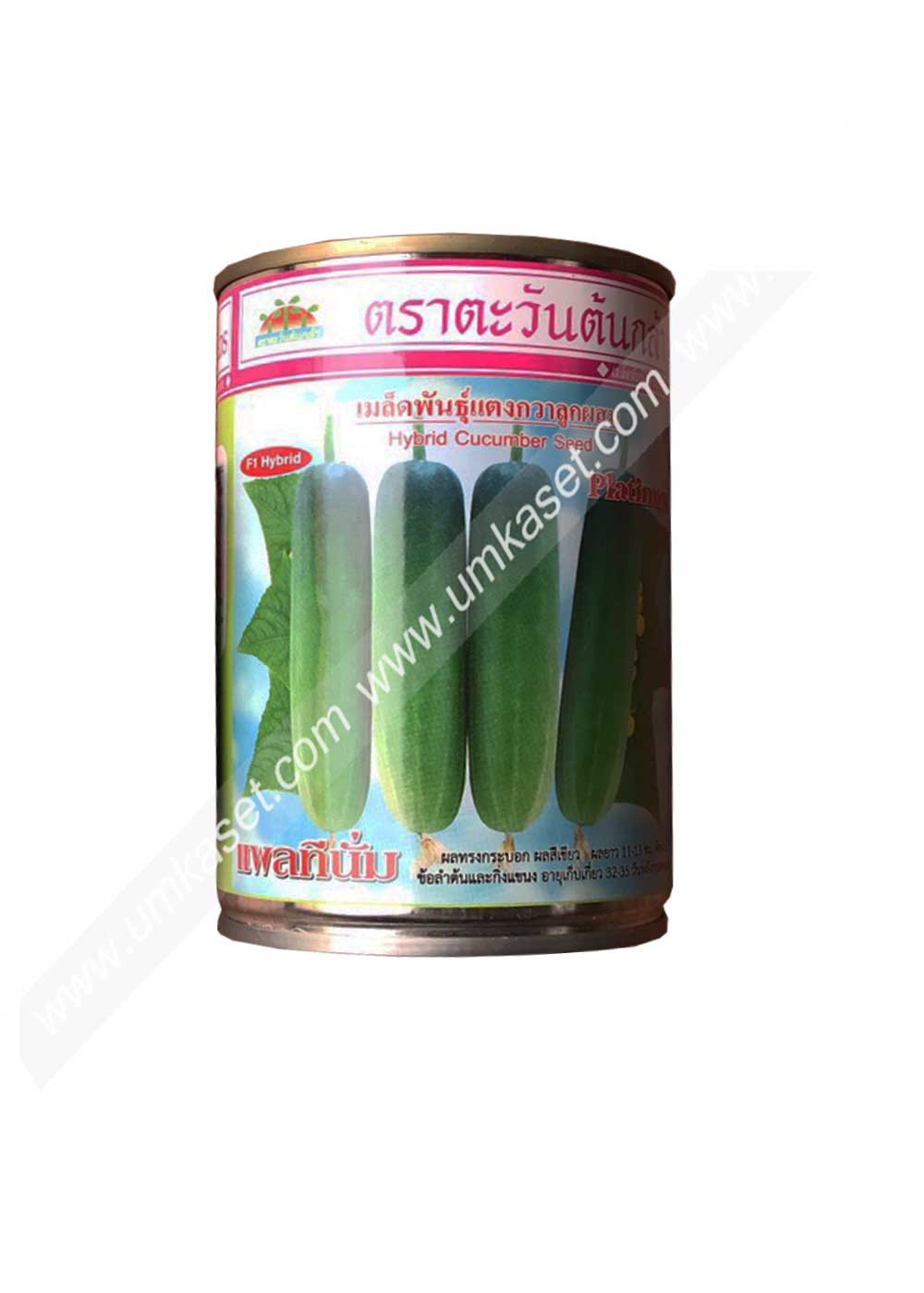 แตงกวาลูกผสม แพลทีนั่ม ตะวันต้นกล้า 10 กรัม, 50 กรัม ,100 กรัม