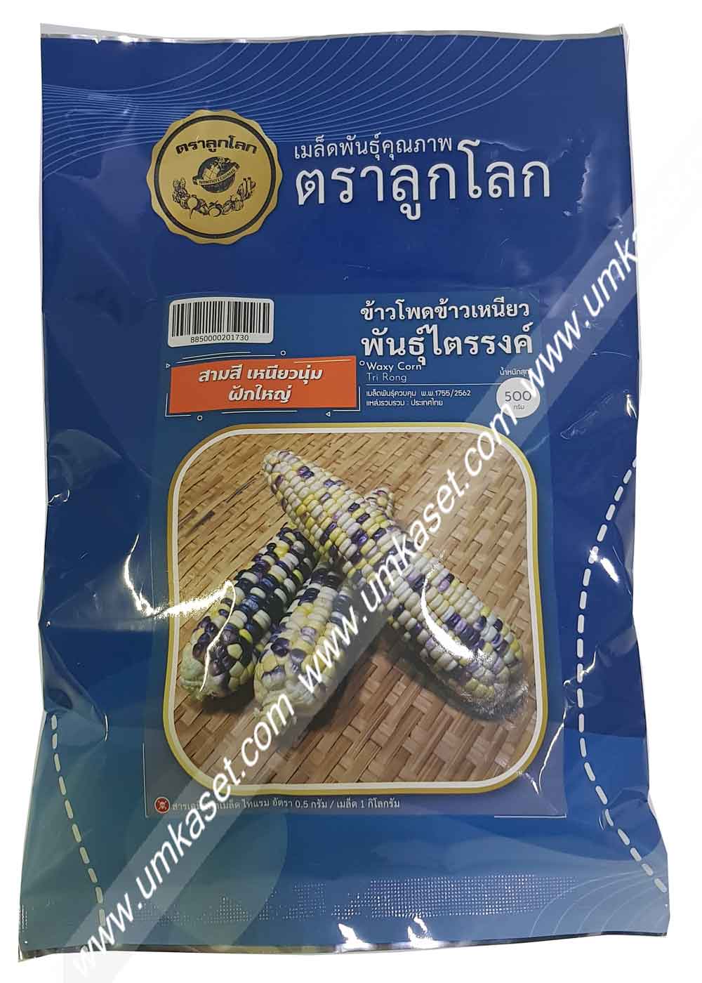 ข้าวโพดเข้าวเหนียว พันธุ์ไตรรงค์ OP ตราลูกโลก