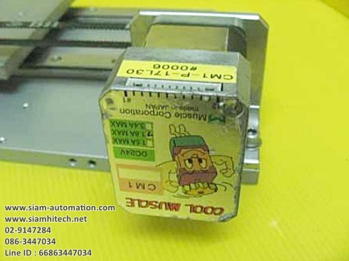 สไลด์แกนคู่ พร้อมมอเตอร์ ยี่ห้อ cool muscle (Used)