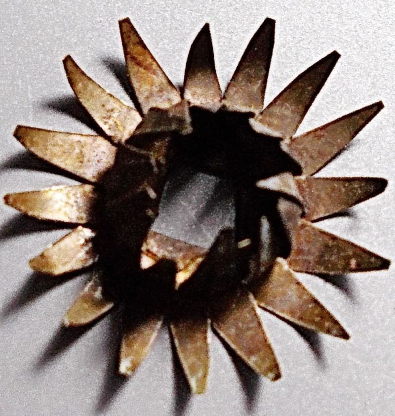 ดอกพิกุลเงินหลวงพ่อโอภาสี อาศรมบางมด