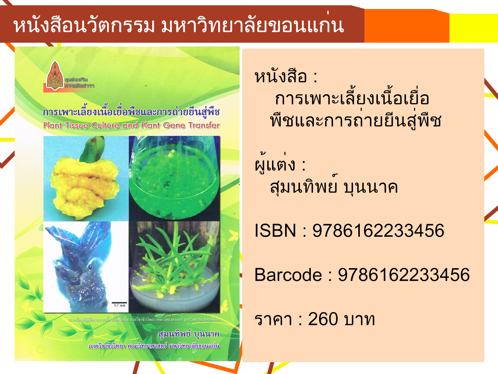 การเพาะเลี้ยงเนื้อเยื่อพืชและการถ่ายยีนสู่พืช