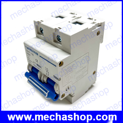 เซอร์กิตเบรกเกอร์ อุปกรณ์เปิดปิดวงจรไฟฟ้า DZ47-100-D80 AC 400V 80A 50/60Hz 2Pole AC Circuit breaker C Type ผ่านมาตรฐาน CE ,IEC 60947-2