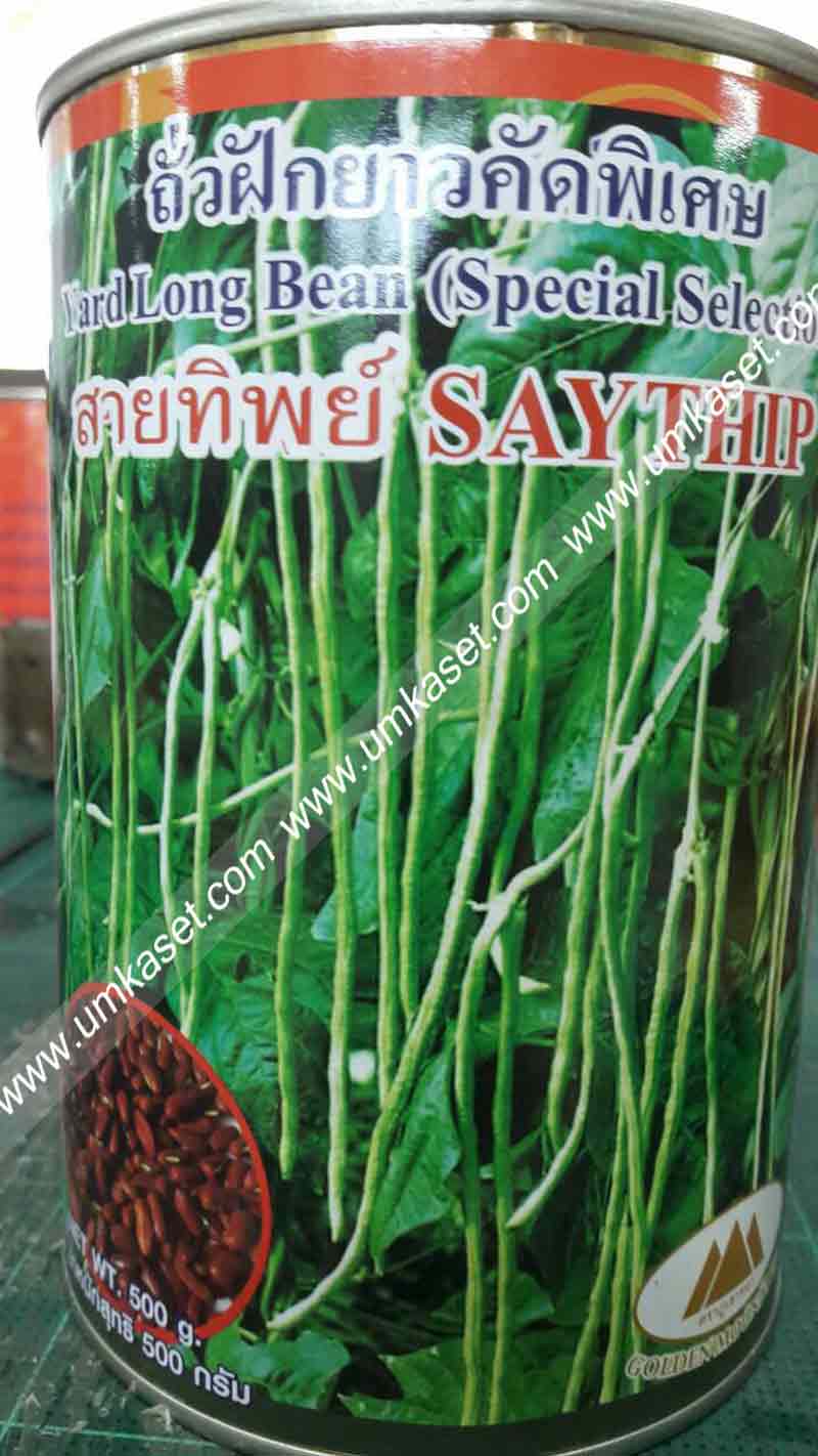 ถั่วฝักยาวเนื้อ สายทิพย์ ตราภูเขาทอง