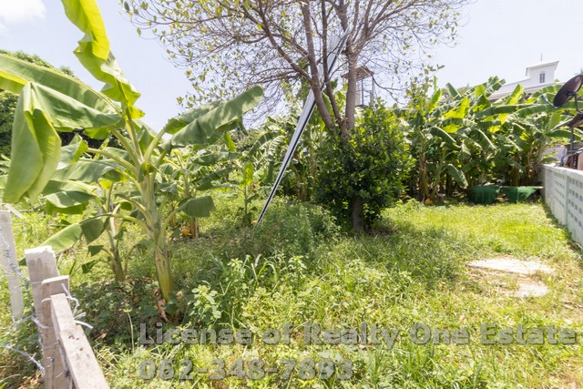 ขายที่ดิน แปลงสวย ทำเลทองใจกลางพัทยาใต้ ซอย 8 หนองปรือ บางละมุง ชลบุรี