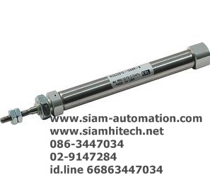 Cylinder SMC CJ2B10-125Z