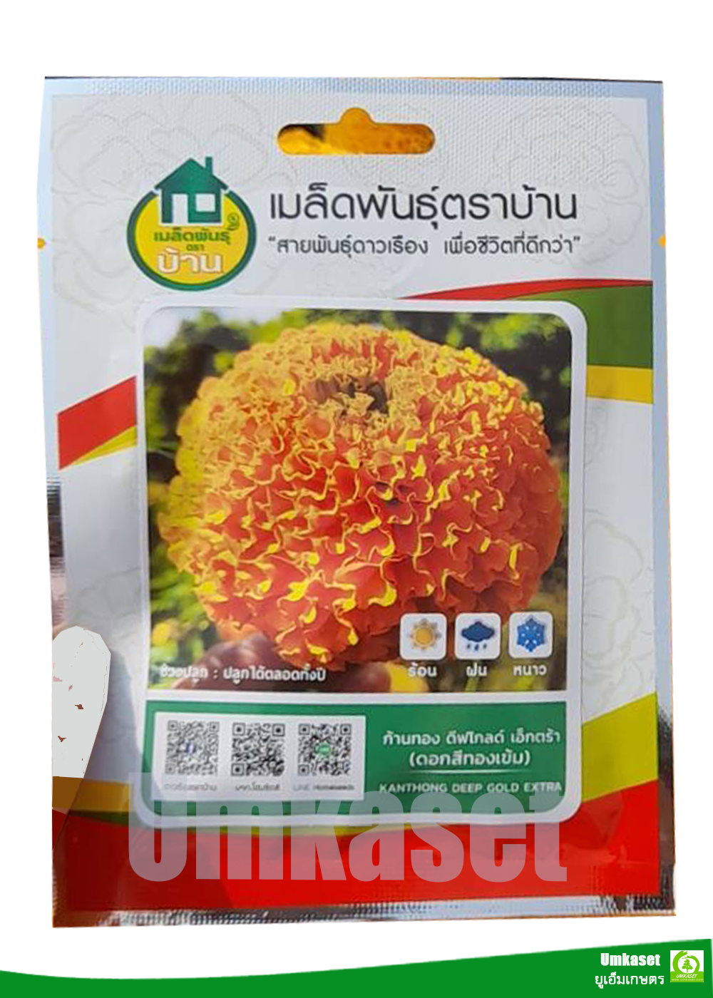 ดาวเรือง ก้านทอง ดีพโกลด์ เอ็กตร้า 1000 เมล็ด