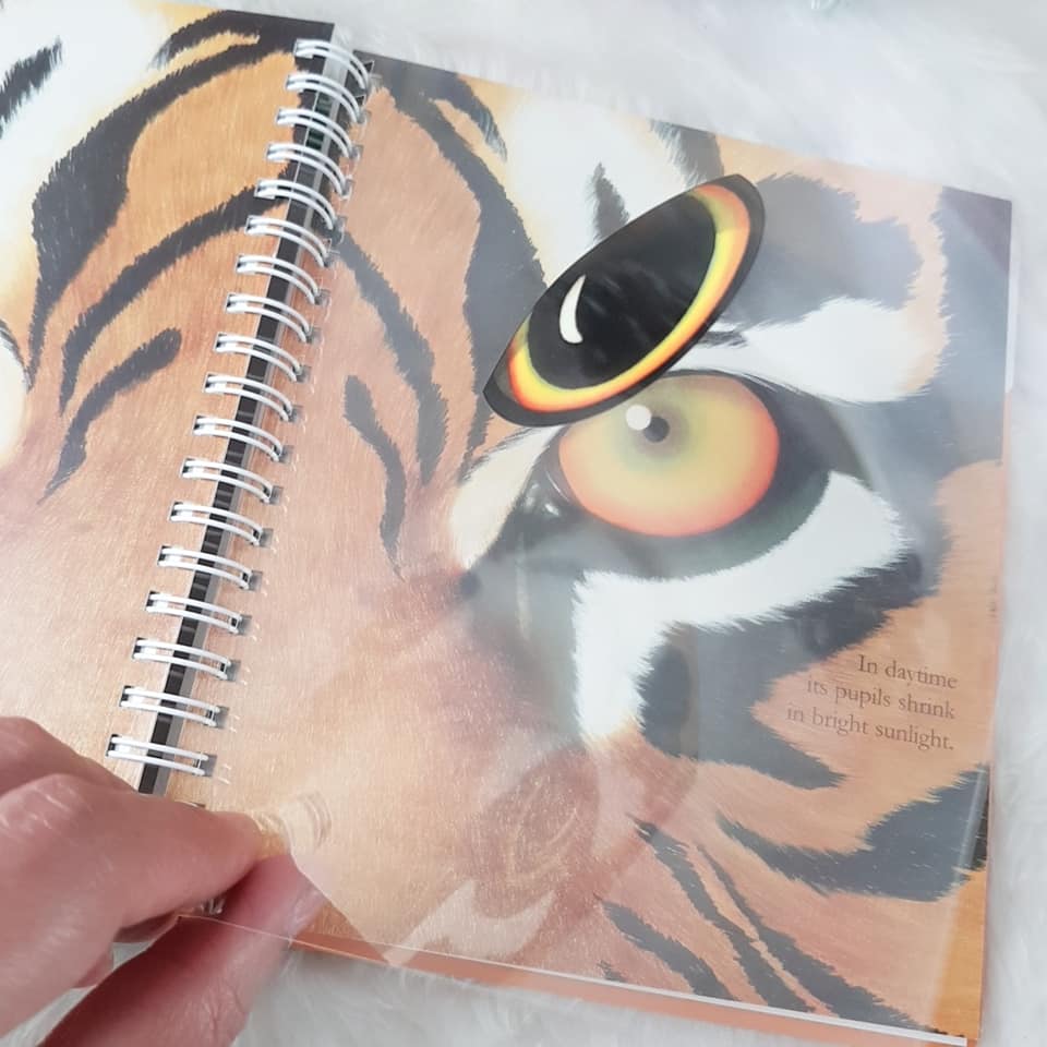 The Tiger by My First Discoveries ชุดหนังสือความรู้ คุณหมอประเสริฐ ซื้อให้ลูกอ่าน พร้อมส่ง ของแท้ ชุดเดียวกันกับ The Egg