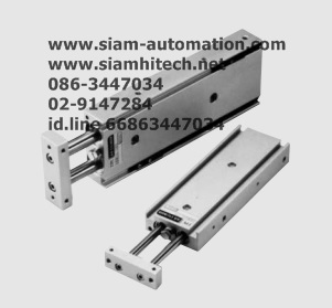 Cylinder Twin Rod ADRM10-30-W13