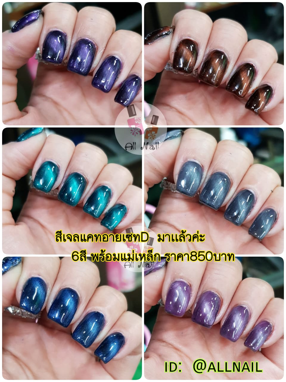 ชุดสีเจล Cat Eye เซ็ตD