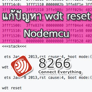 wdt reset